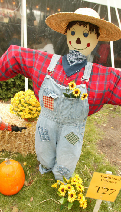 A big scarecrow and a small scarecrow with a sign saying "Scarecrow in training."