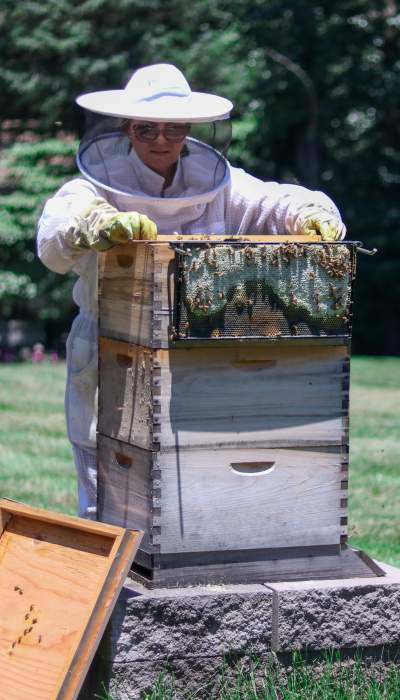 A lady suited in a bee farm