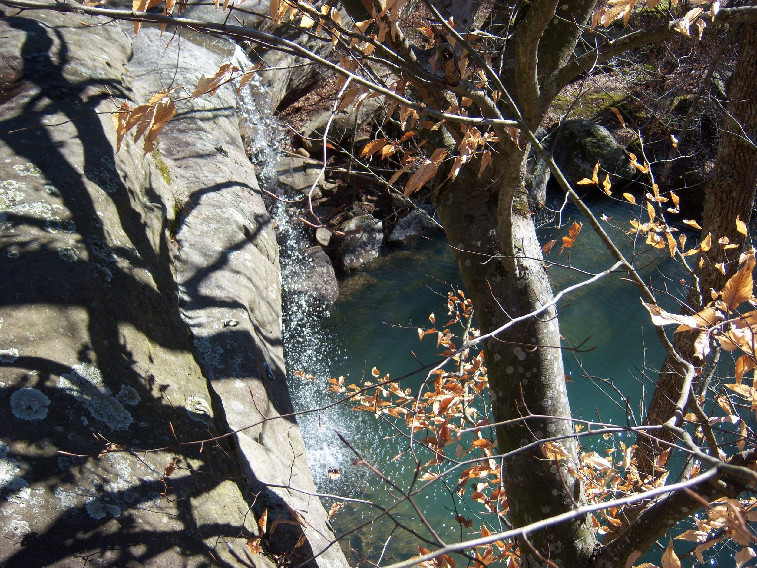 A stream cascading over rocks amid late-fall trees