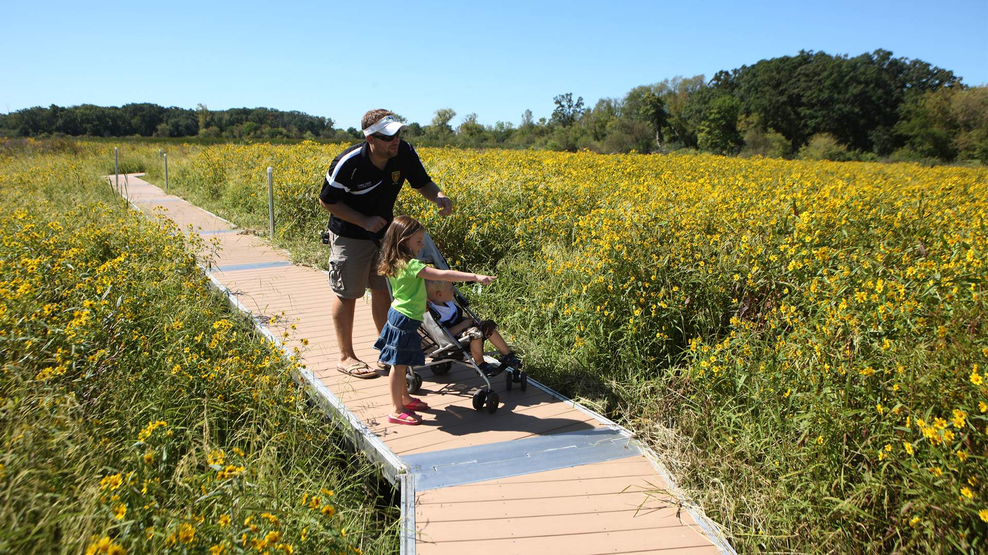 A man with two small children on a boardwalk amidst yellow flowers