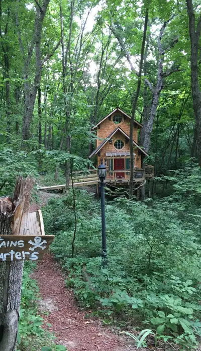 House in a forest