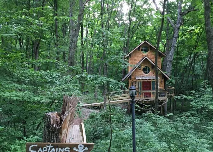 House in a forest