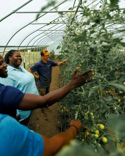 People inspect crops at Epiphany Farms