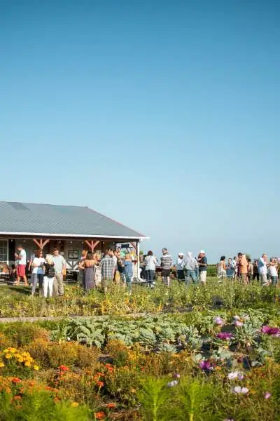 People Gathered chatting and drinking outside the farm house