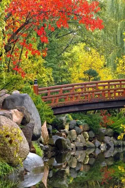 A bridge crosses a pond surrounded by fall foliage