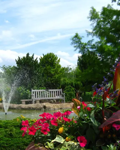 A garden with a pond, chair and some flowers