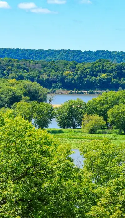 Casper Bluff River and Trees