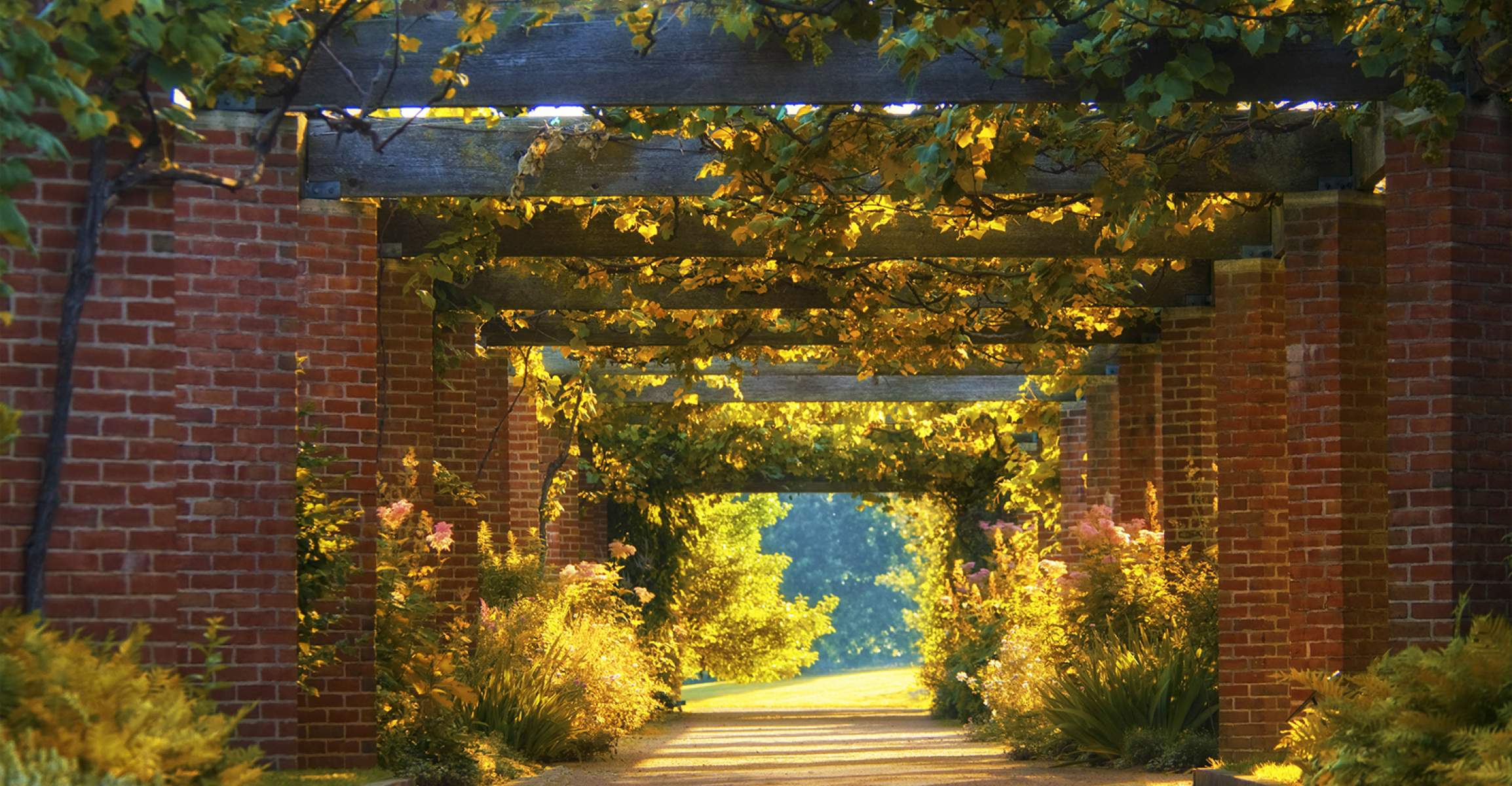 Photo of the Garden Grape Arbor path at Chicago Botanic Garden.