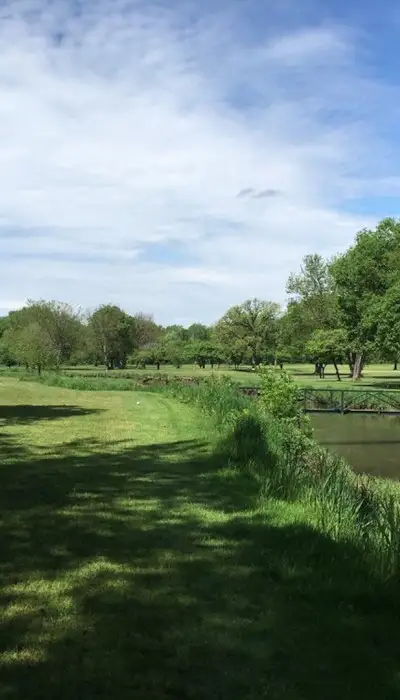 Green fields and trees