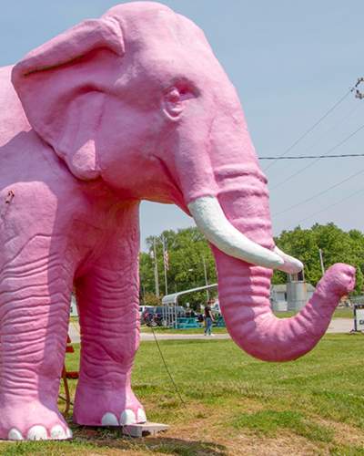 Large pink Elephant statue in Livingston.
