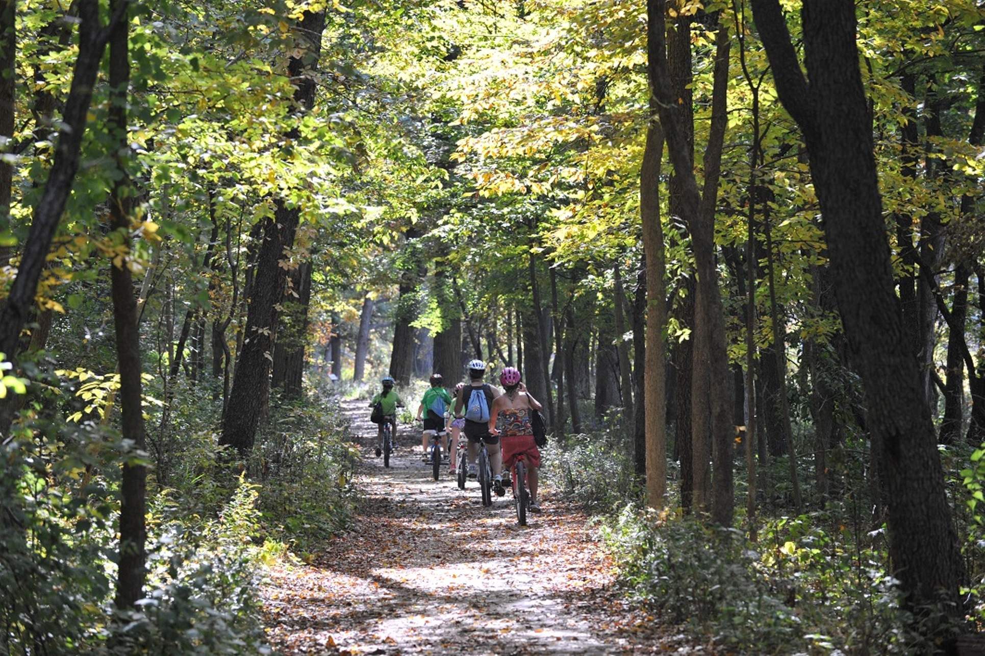 A group of people cycling along the Fox River Trail, amid woodland trees