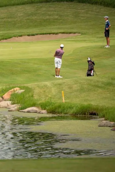 people playing golf