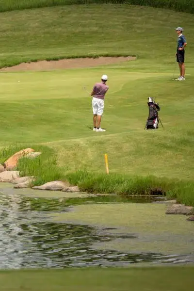 people playing golf