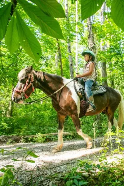 Horse riding down a trail 