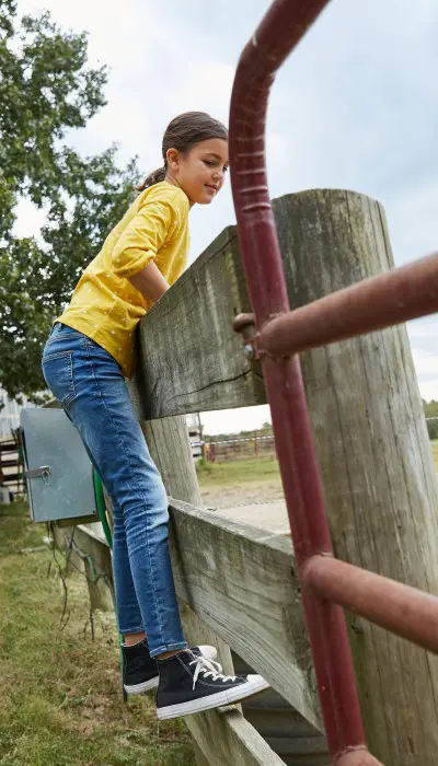 Kids looking over the fence to a horse