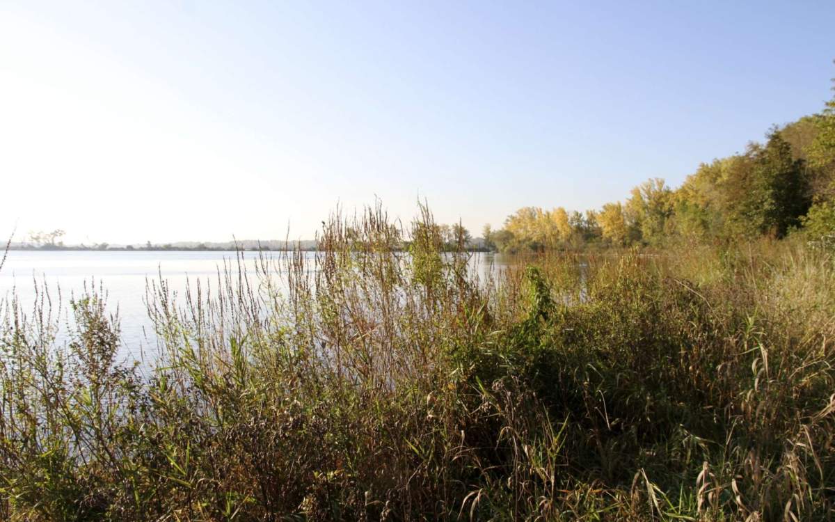 The Calumet Region's Natural Areas | Enjoy Illinois