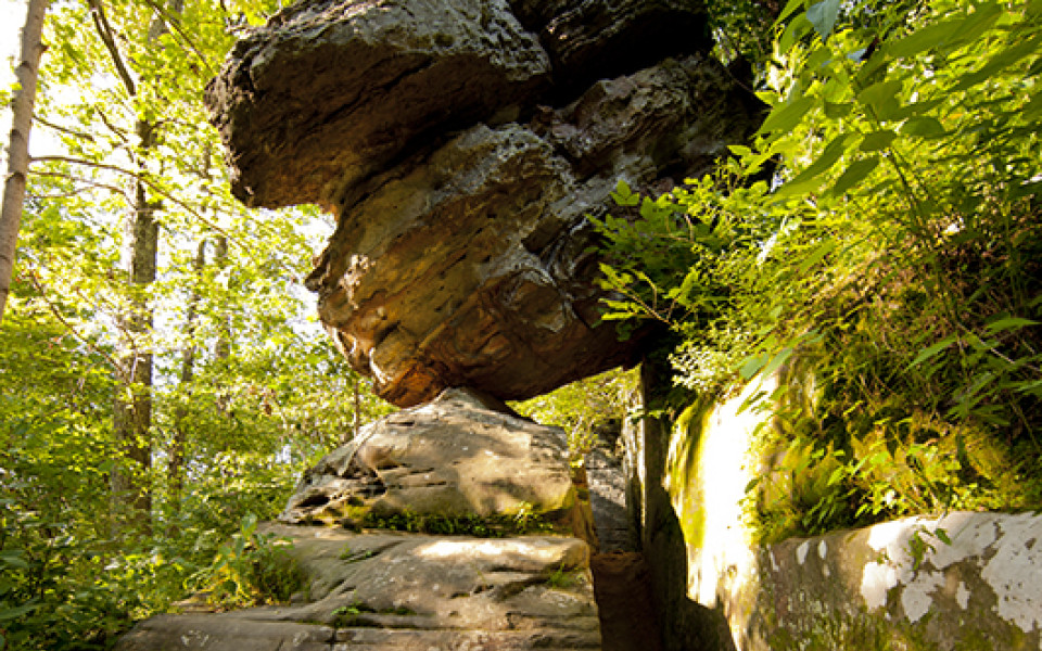 Illinois' State Park Hidden Gems | Enjoy Illinois | Enjoy Illinois