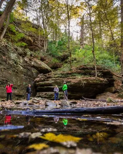 People taking photos at Ferne Clyffe State Park