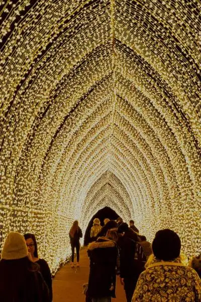 A tunnel of lights