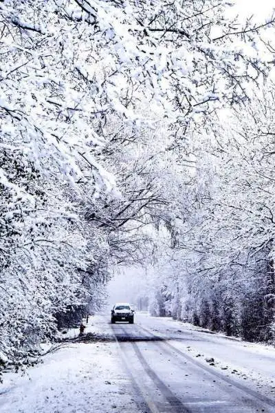 Car driving down road with snow covered tress either side