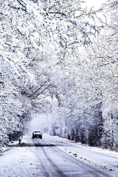 Car driving down road with snow covered tress either side